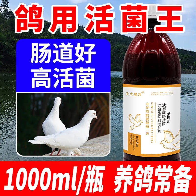 活菌王鸽用益生菌肠道粪便鸽子大全常见赛鸽信鸽养鸽常备用益生菌
