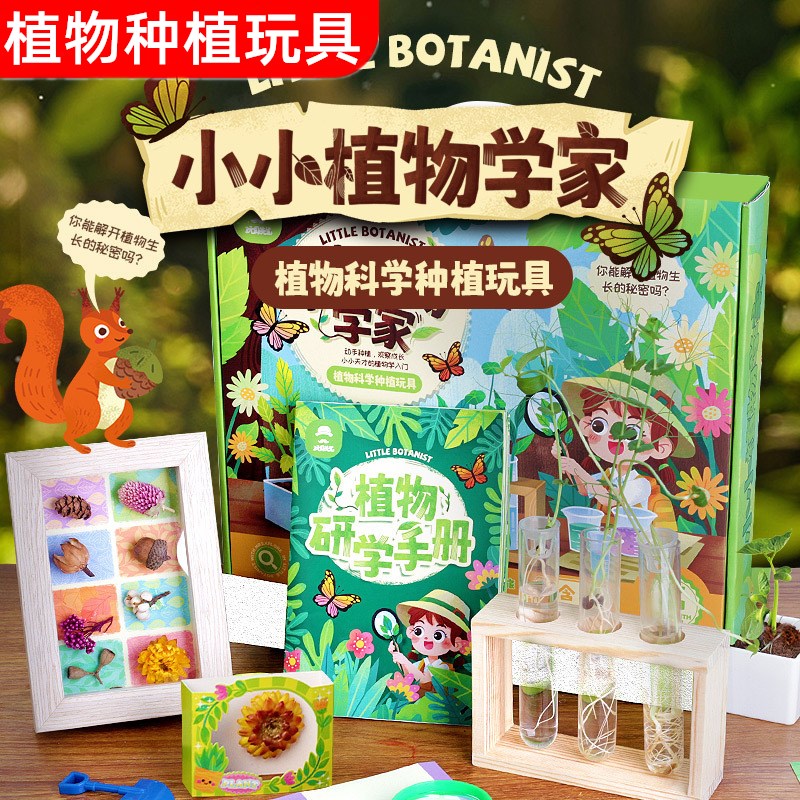 种植玩具儿童种植物生长观察科学实验套装手工DIY材料包早教益智