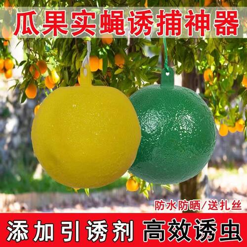 果蝇诱捕器小飞虫灭杀神器室内去除飞虫厨房蠓虫粘虫球诱苍蝇