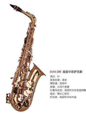 WISEMANN DAS-200 中音萨克斯成人初学者考级专业演奏