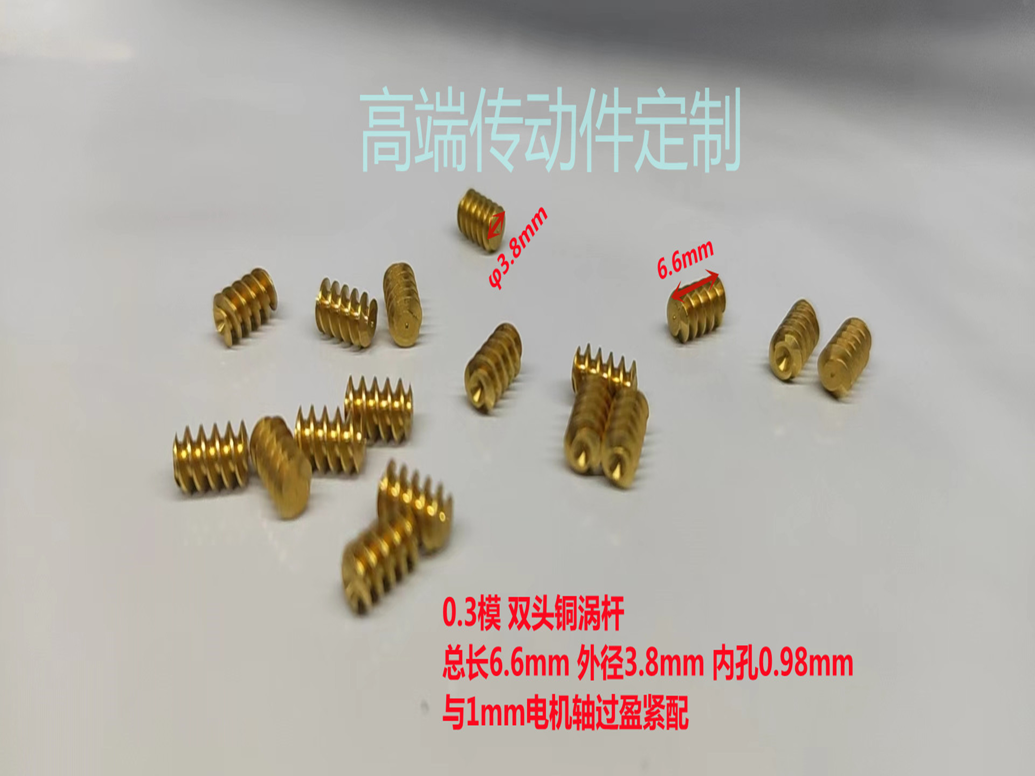 微小型0.3模双头铜蜗杆