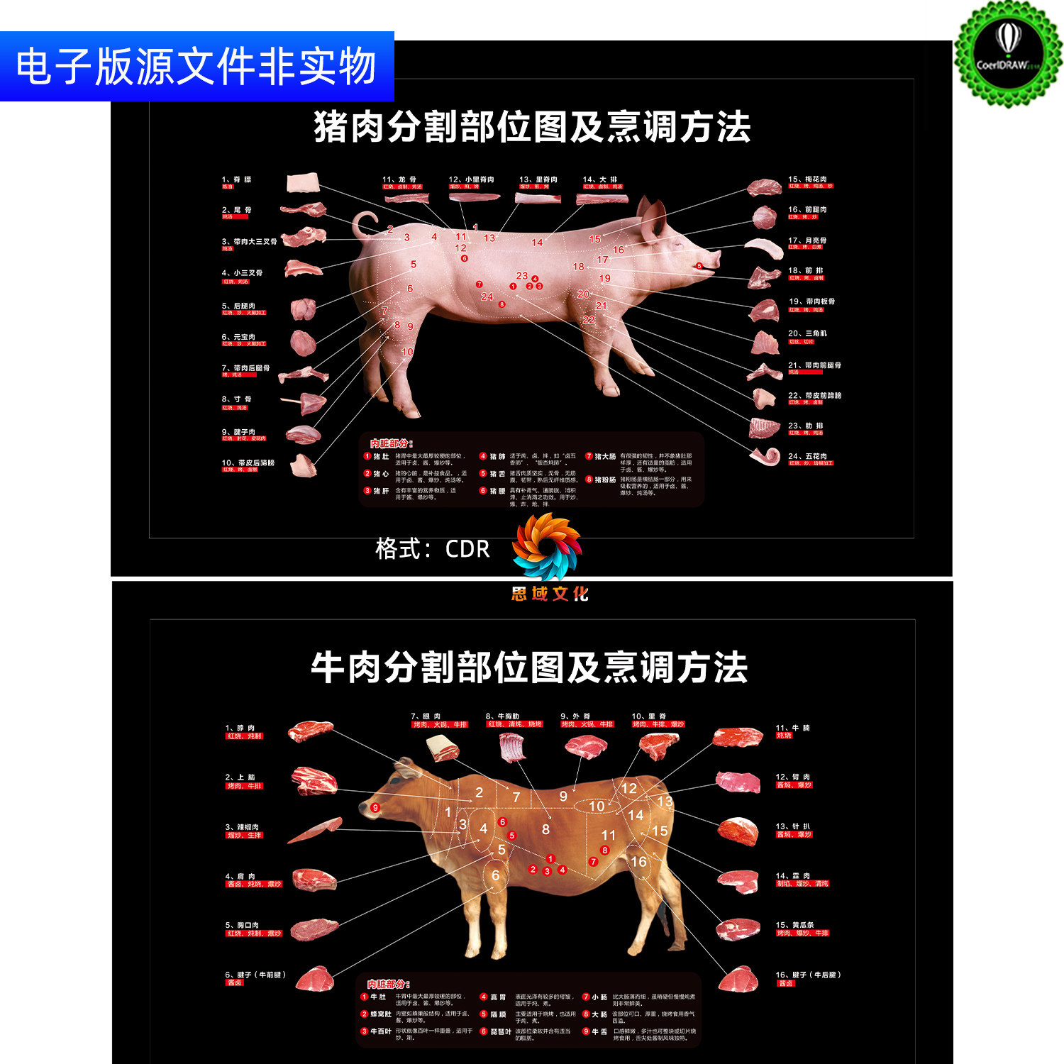 猪肉分割部位图及烹调方法牛肉分割图展板海报超市生鲜区挂图素材