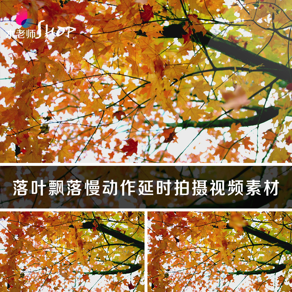 落叶飘落慢动作延时拍摄视频素材动态实拍摄影秋天枫叶红叶子枯萎
