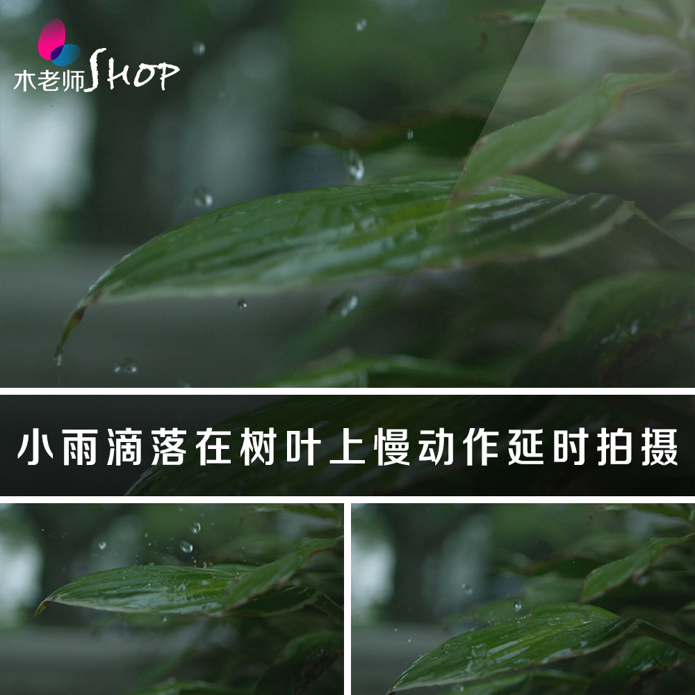 小雨滴落在树叶上慢动作延时摄影视频素材雨水掉落绿叶子风景拍摄