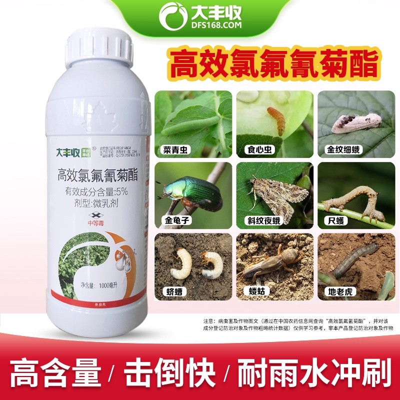 HD5%高效氯氟氰菊酯果树杀虫专用药 蔬菜棉花除虫大丰收高效氯
