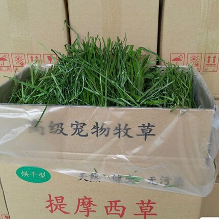 箱装头茬烘干提摩西草段 切断处理 好拿取 不浪费兔粮干草龙猫