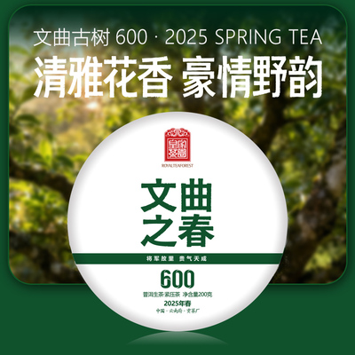 文曲之春 云南普洱茶生茶饼永德文曲村600年古树2025春200克