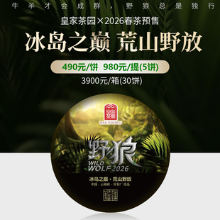 【野狼】2026春茶预售 云南临沧冰岛之巅荒山野放200克饼皇家茶园