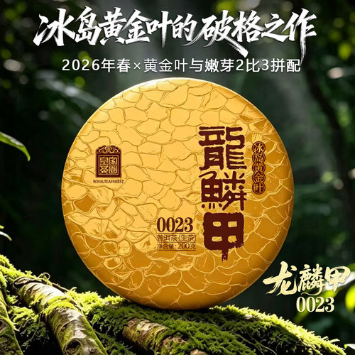 龙鳞甲 普洱茶生茶饼2026春冰岛黄金叶嫩芽23比200克  皇家茶园