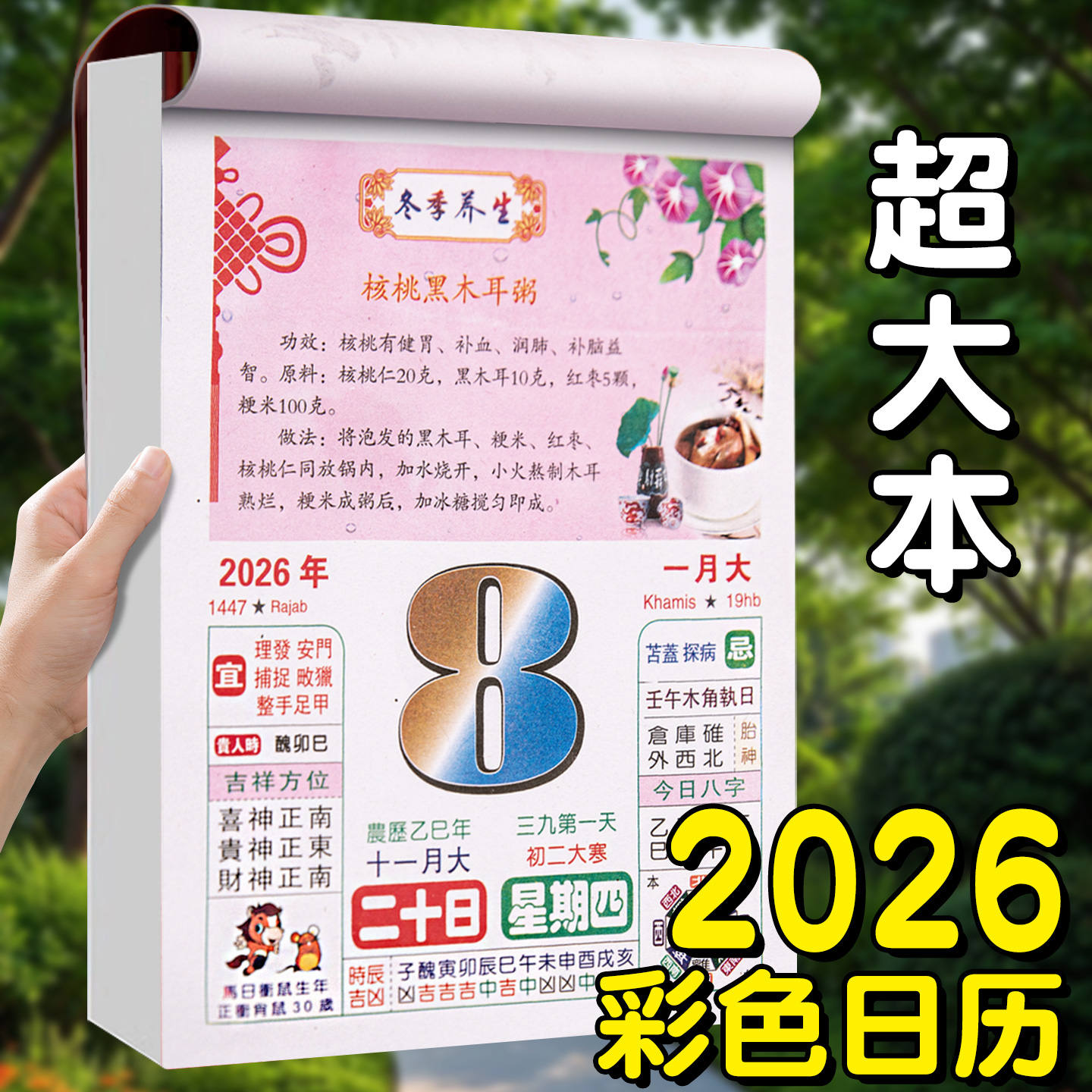 彩色养生日历2026年新款手撕老黄历挂墙式家用挂历大号皇历每日一撕老式特大号万年历通胜马年挂历日历大本