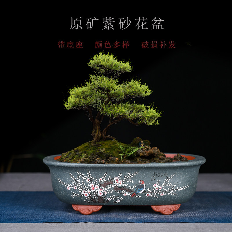 小盆景盆椭圆型花盆古典盆植物绿萝盆多肉盆花盆腰圆中国风紫砂盆