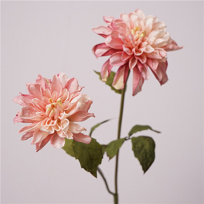 高级感芙蓉大丽花仿真花假花