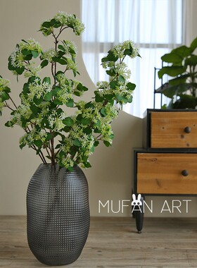 石莲果绿植摆设插花花艺