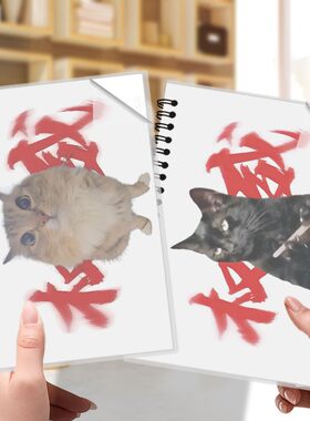 猫meme线圈本男生笔记本