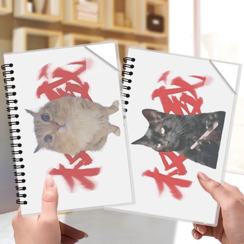 猫meme线圈本男生笔记本