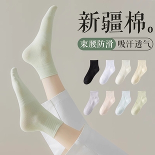Cotton 春秋純色襪子女中筒襪學生糖果色純棉吸汗防臭 Socks Crew