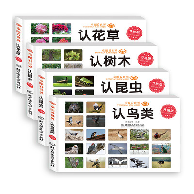 童眼看世界全4册认花草树木昆虫鸟类彩色大图书籍儿童百科全书0-2-3-6岁看图识物识字书本早教书幼儿认字宝宝启蒙认知益智读物正版