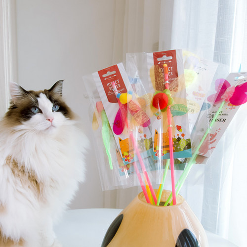 Amy&Carol逗猫棒响纸亮片猫自嗨