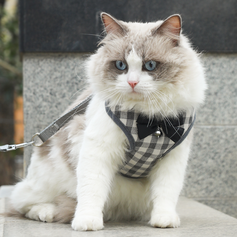 猫咪牵引绳幼猫遛猫绳小猫迷你超小防挣脱猫链舒适材质背心式绳 宠物/宠物食品及用品 狗牵引绳 原图主图