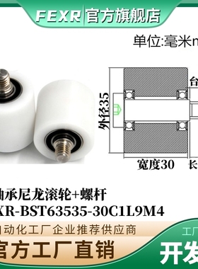 BST63535-30C1L9M4不锈钢螺杆输送带专用塑料滚轮POM滑轮尼龙轮