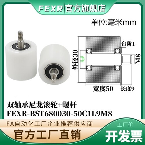 BST680030-50C1L9M8尼龙滚轮