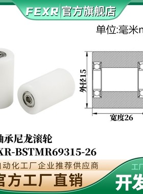 BSTMR69315-26输送带专用塑料胶套滚轮POM滑轮BSTMR8415-26滚轮