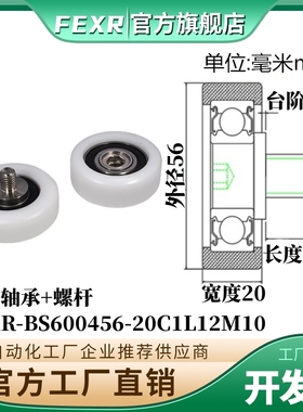 BS600456-20C1L12M10包塑轴承不锈钢螺杆滑轮POM滚轮C2L12尼龙轮