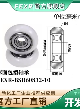 FEXR圆弧R型外球面包塑轴承BSR60832-10家具展柜小滑轮移门窗滚轮