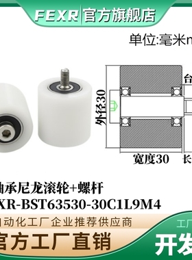 BST63530-30C1L9M4不锈钢螺杆输送带专用塑料滚轮POM滑轮尼龙轮