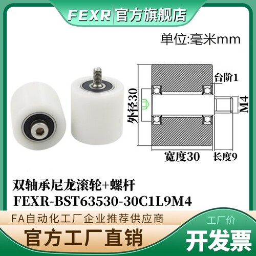 BST63530-30C1L9M4尼龙滚轮