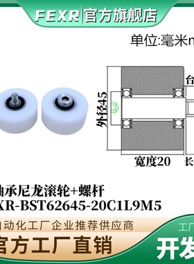 带螺杆BST62645-20C1L9M5尼龙塑料滚轮双轴承加宽输送带POM滑轮