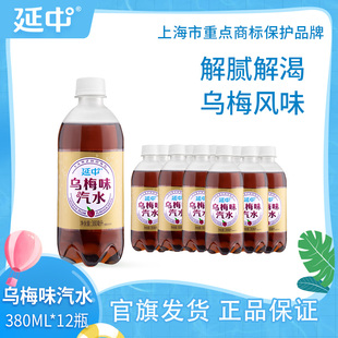 夏季 碳酸飲料果味汽水飲品 箱 12瓶 延中 烏梅味汽水380ml
