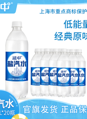 延中盐汽水老上海解渴600ml*20瓶/箱碳酸饮料0脂肪