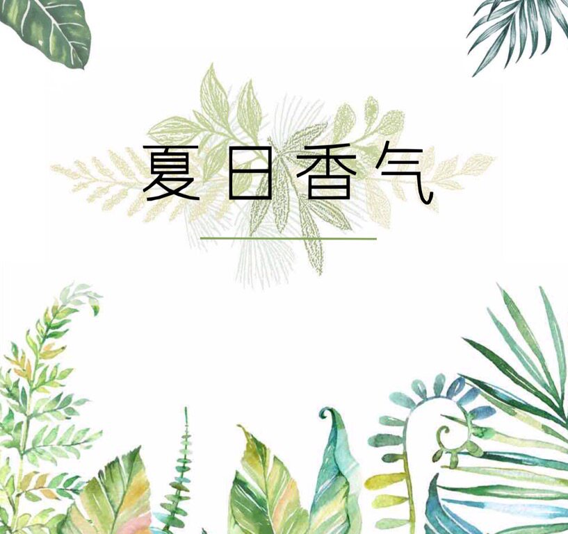 【夏日香氛推荐】白苔夏夜清风雨后清晨白茉莉与薄荷清爽淡香水