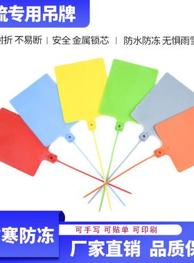 物流挂签吊牌105*85加大加厚一体式百世韵达安能专用塑料标签挂牌