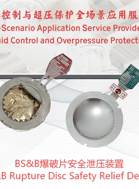 定制国产替代爆破片夹持器安全泄压装置BS&B/Fike/REMBE/CDC/ZOOK