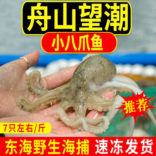 章鱼质量怎么样 章鱼口碑怎么样 小麦优选