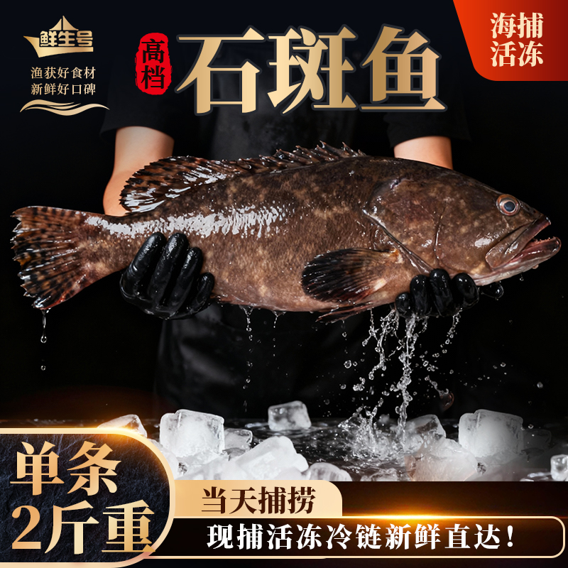 鲜生号高档石斑鱼单条2斤