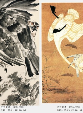 DA44国画动物-鹰写意工笔雄鹰老鹰飞翔枝头水墨水彩高清图片素材