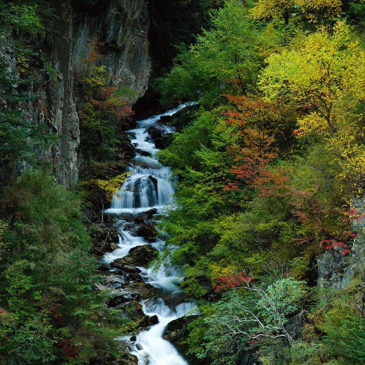 图库素材自然风光小溪河流水面山泉秀水溪水平面设计高清背景图片