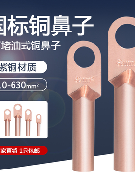 国标铜鼻子DT-16/25/50/95/120/240/300平方接线端子线鼻子铜接头