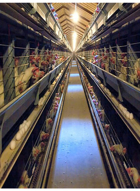 美规S14包胶E12装饰灯串氛围led串灯IP65防水节日圣诞露营彩灯条