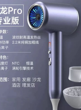 跨境吹风机发廊大功率电吹风家用负离子护发hair dryer工厂一
