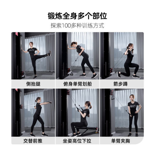 ZXCH/正星H1Pro壁挂式小飞鸟家用多功能健身综合力量训练器龙门架