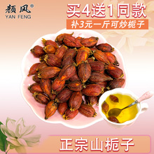 栀子500g可泡黄栀子茶特级栀子果山栀子中药材 补差价可炒栀子