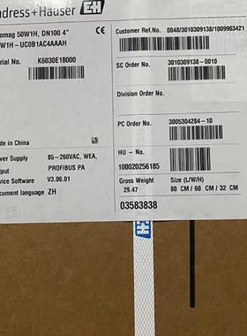 E+ Promag 50W1H, DN100 4