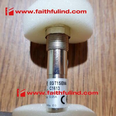 Euchner 054250 安士能全新安全传感器 EGT1SEM4C1613