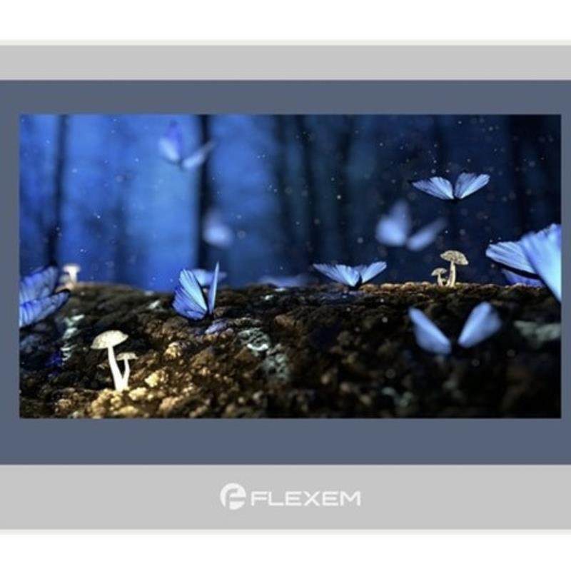 全新正品6000系列FE6070W/FE6070C/FE6070WE/FE6070H