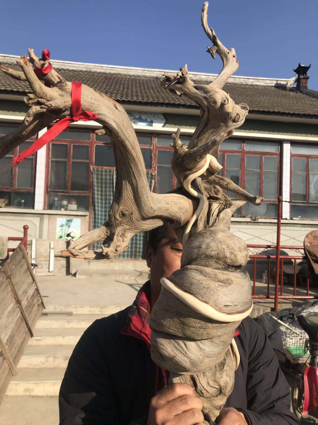 太行 崖柏毛料根雕精品红油陈化料大料区根料老料雕刻料随型摆件
