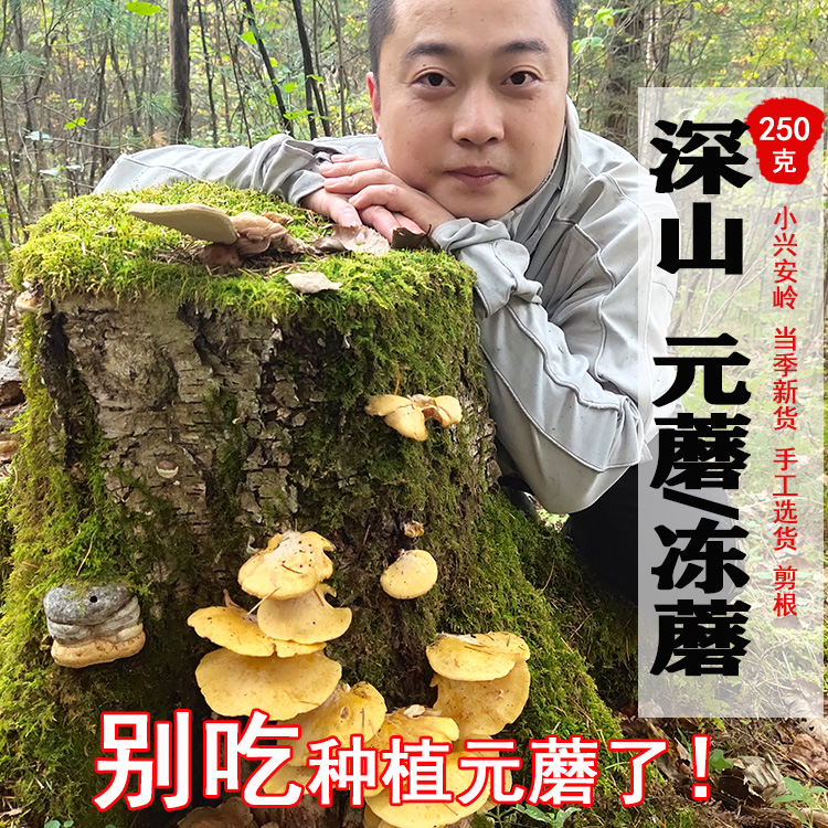 元蘑自封袋香菇类其他新货